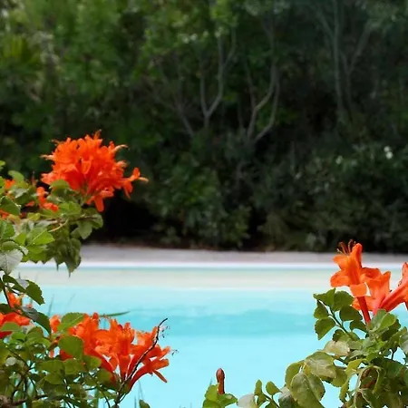 Domus Sol Aria 2 펜션